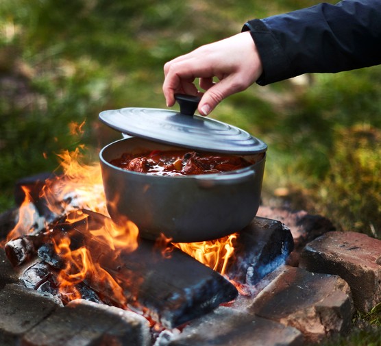 Wild cooking over fire